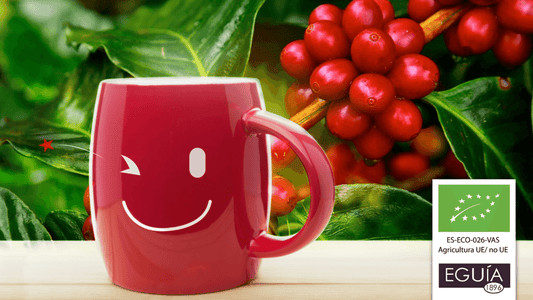 ¿QUÉ ES EL CAFÉ ECOLÓGICO Y CUÁL ES LA DIFERENCIA? - Casa Eguia