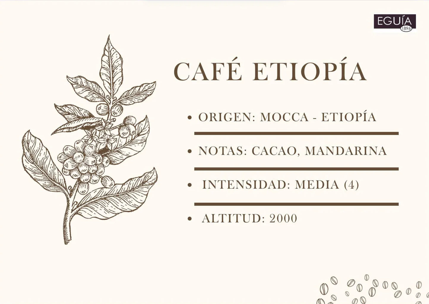 Café Mocca Etiopia - Casa Eguia