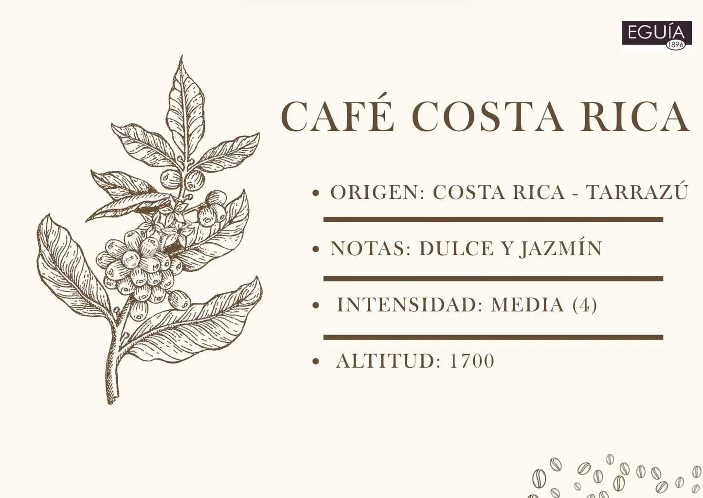 Café Tarrazú Mujeres - Casa Eguia