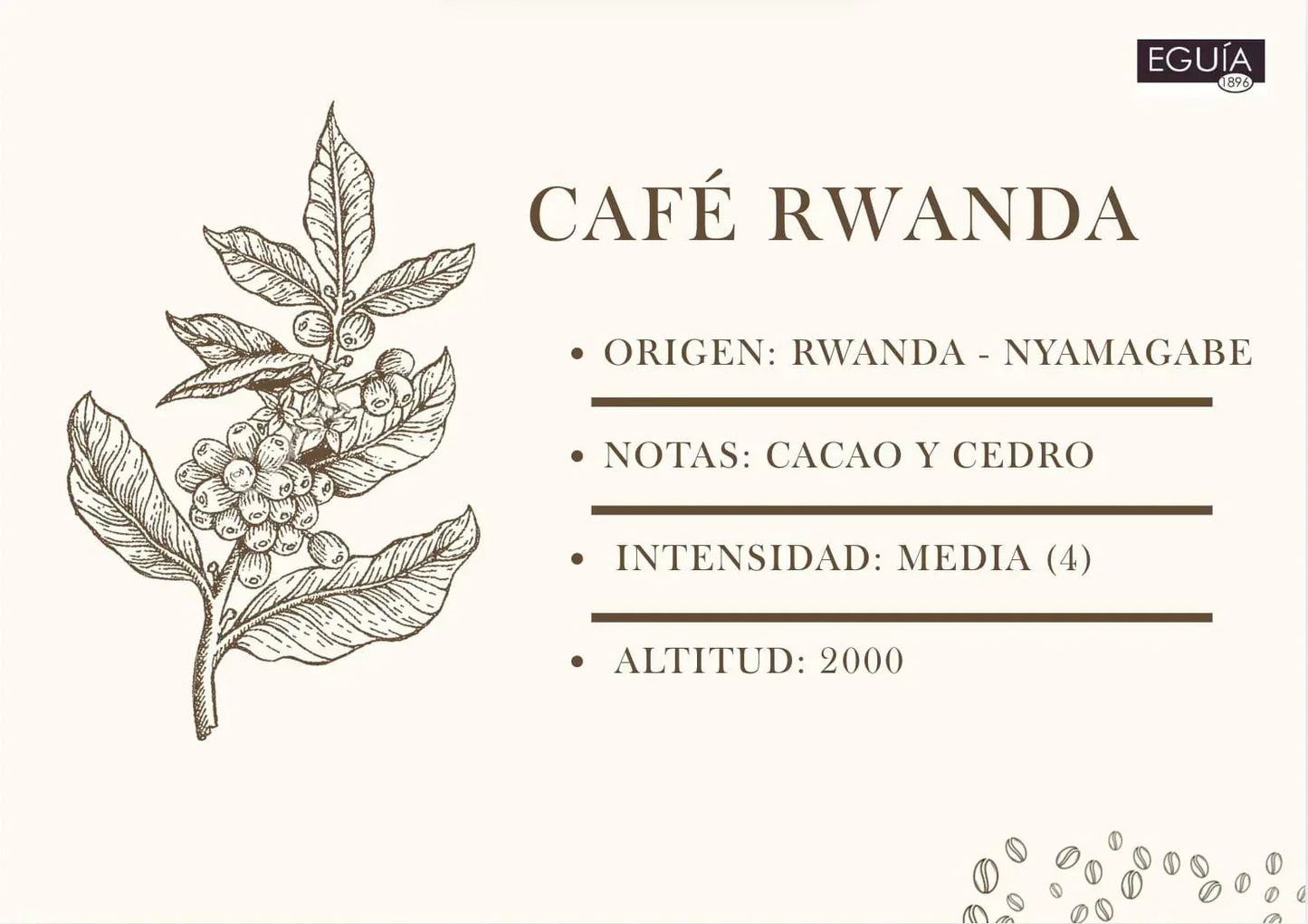 Café Rwanda (Ingiagi) - Casa Eguia