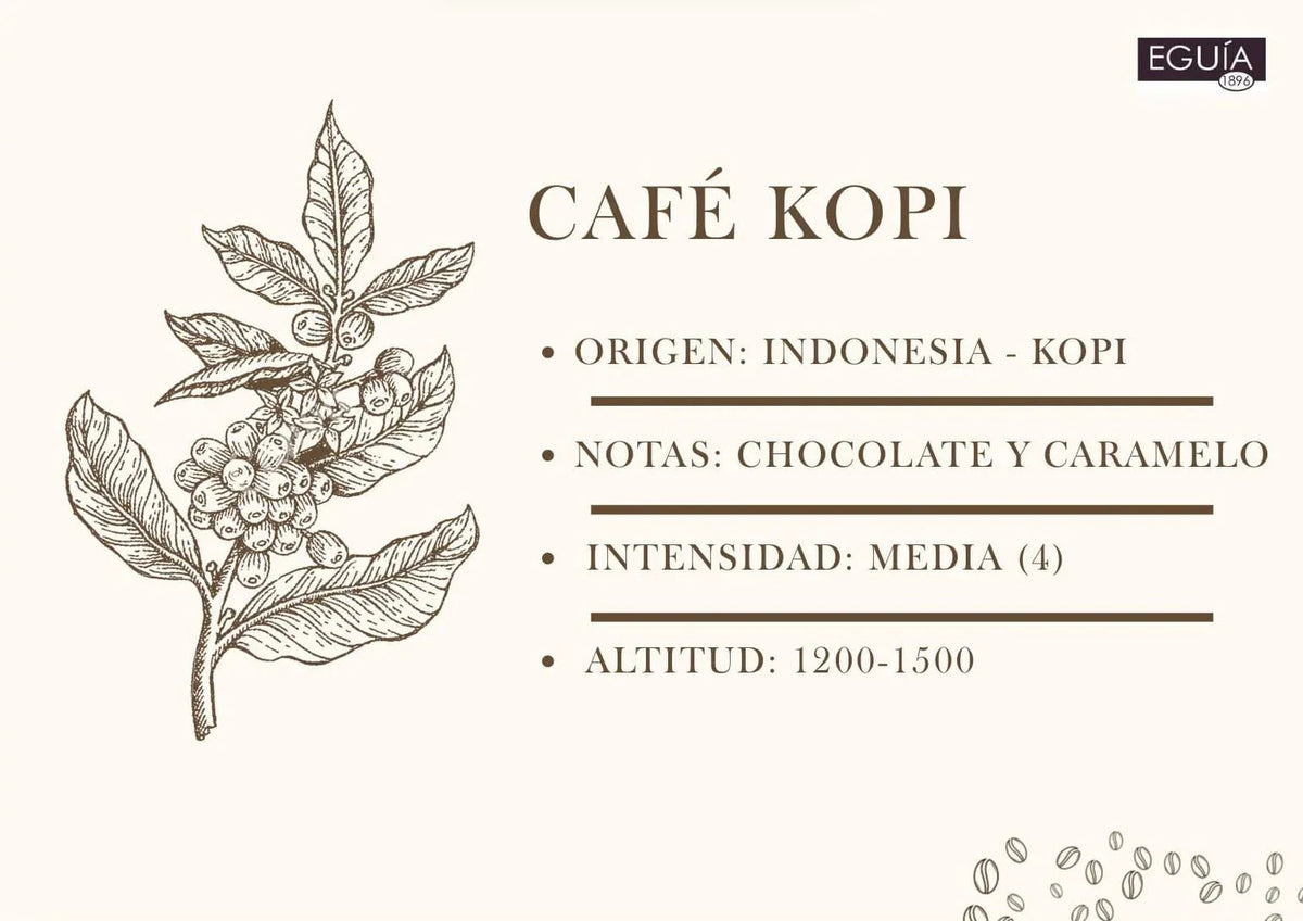 Café Indonesia Kopi Luwak - Casa Eguia