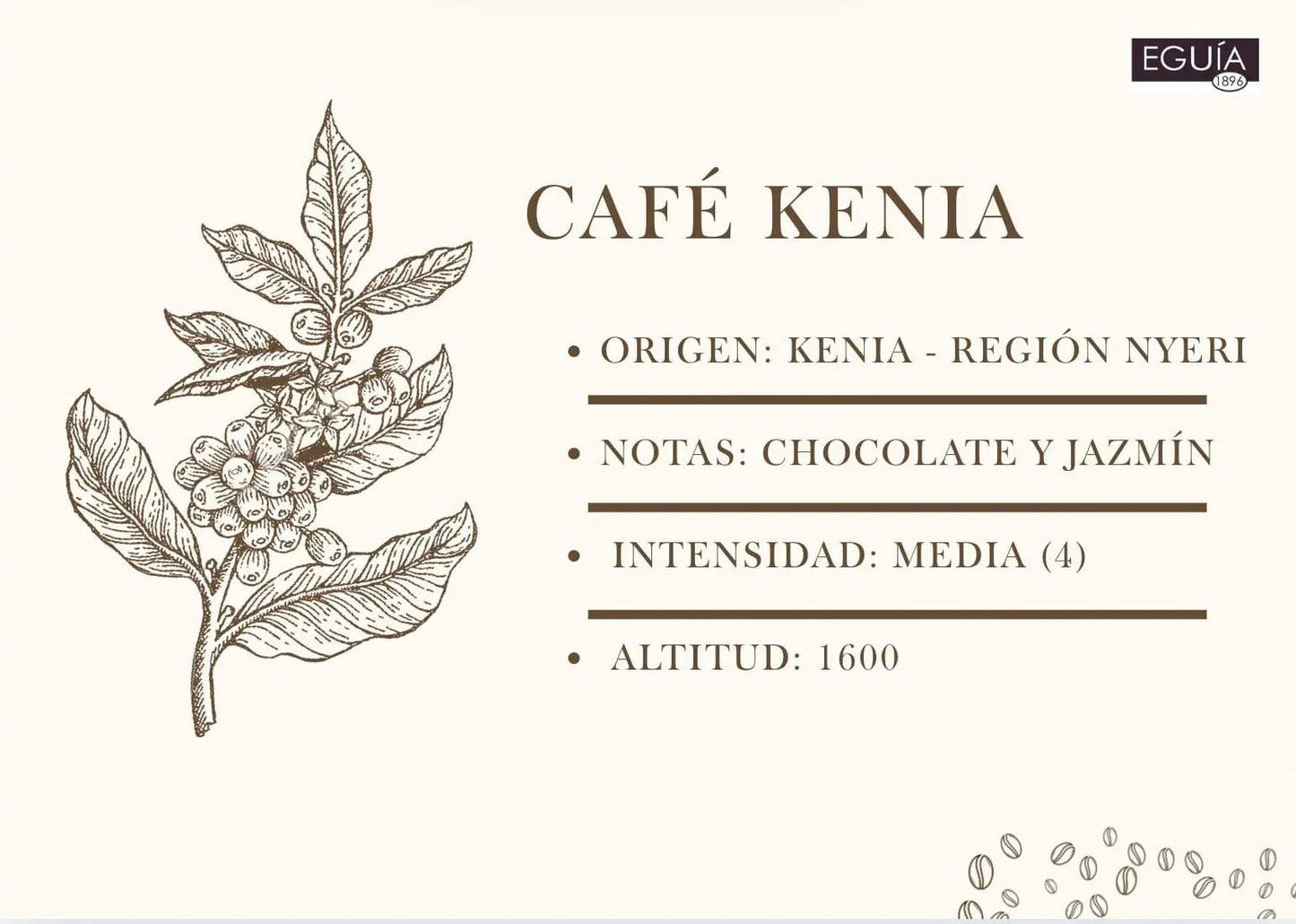 Café Kenia AA Kirimuri - Casa Eguia