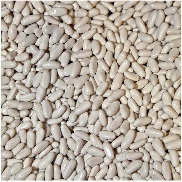 Piñón blanco - Casa Eguia