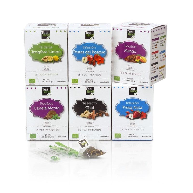 PIRÁMIDES ECOLÓGICAS 2 - Casa Eguia