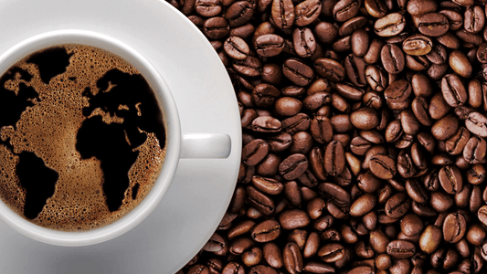 Lo que Necesitas Saber del Café de Origen - Casa Eguia