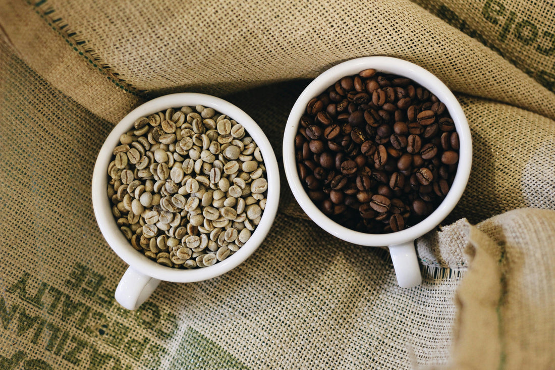 Café arabica vs café robusta