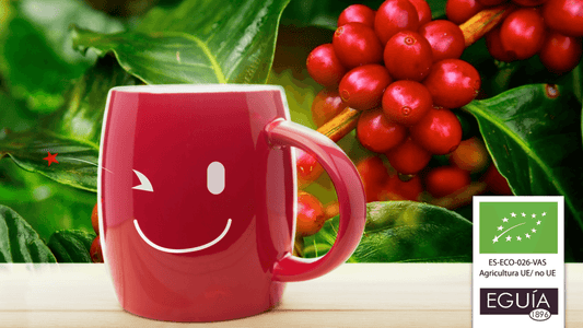 ¿Qué es el Café Ecológico y Cuál es la Diferencia? - Casa Eguia