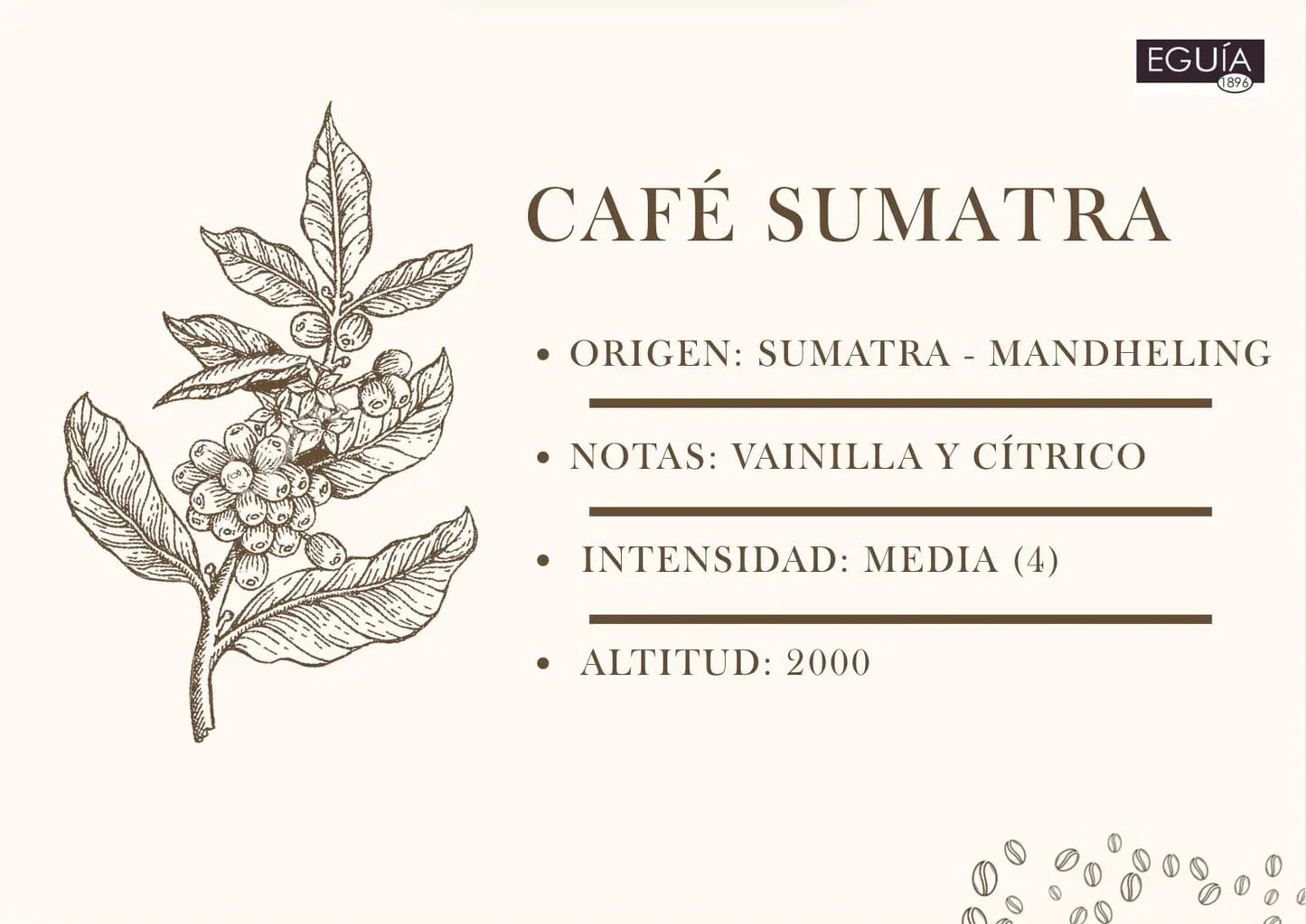 Café Sumatra Mandheling - Casa Eguia