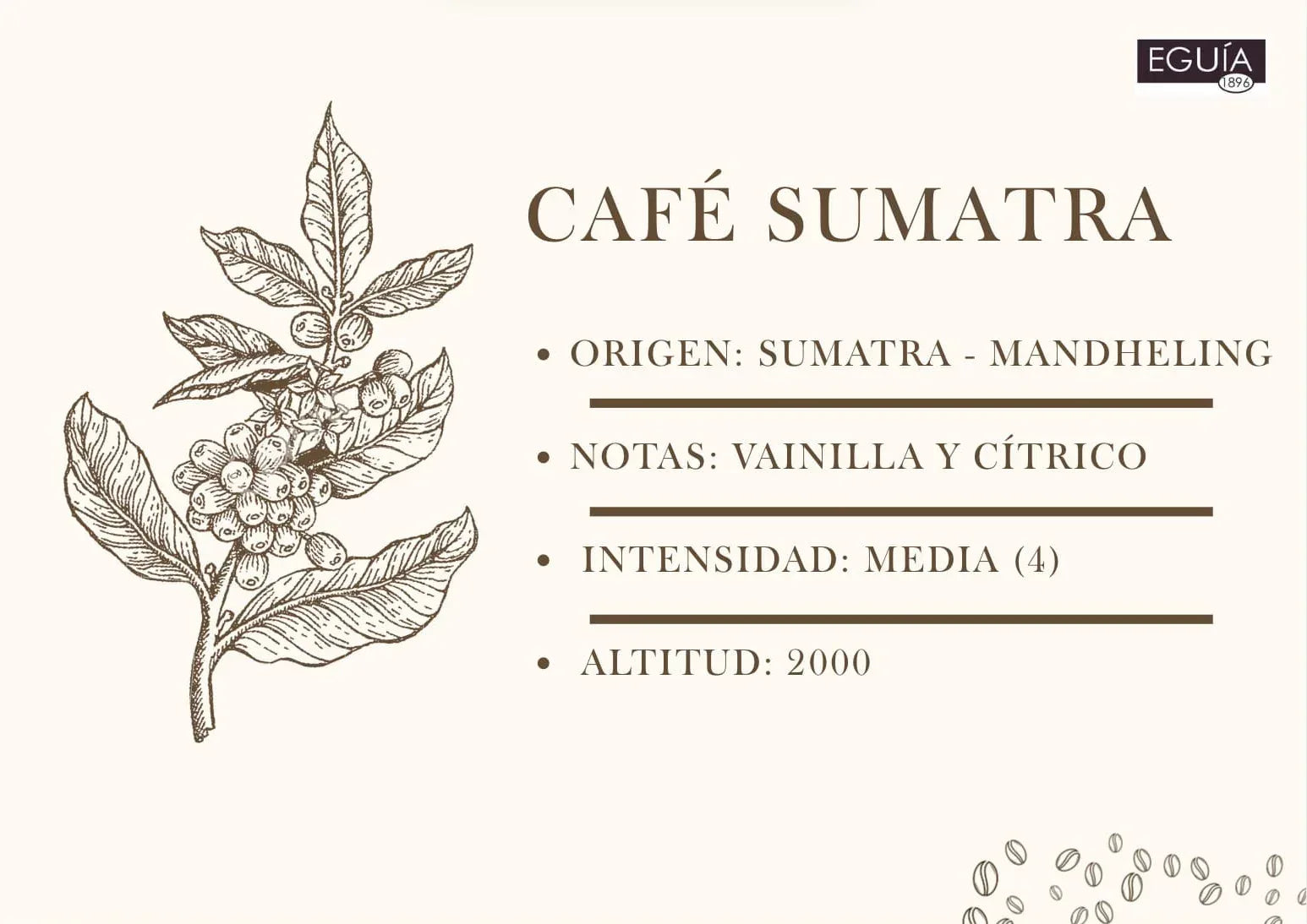 Café Sumatra Mandheling - Casa Eguia