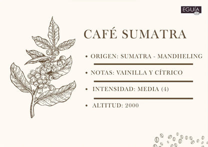 Café Sumatra Mandheling - Casa Eguia
