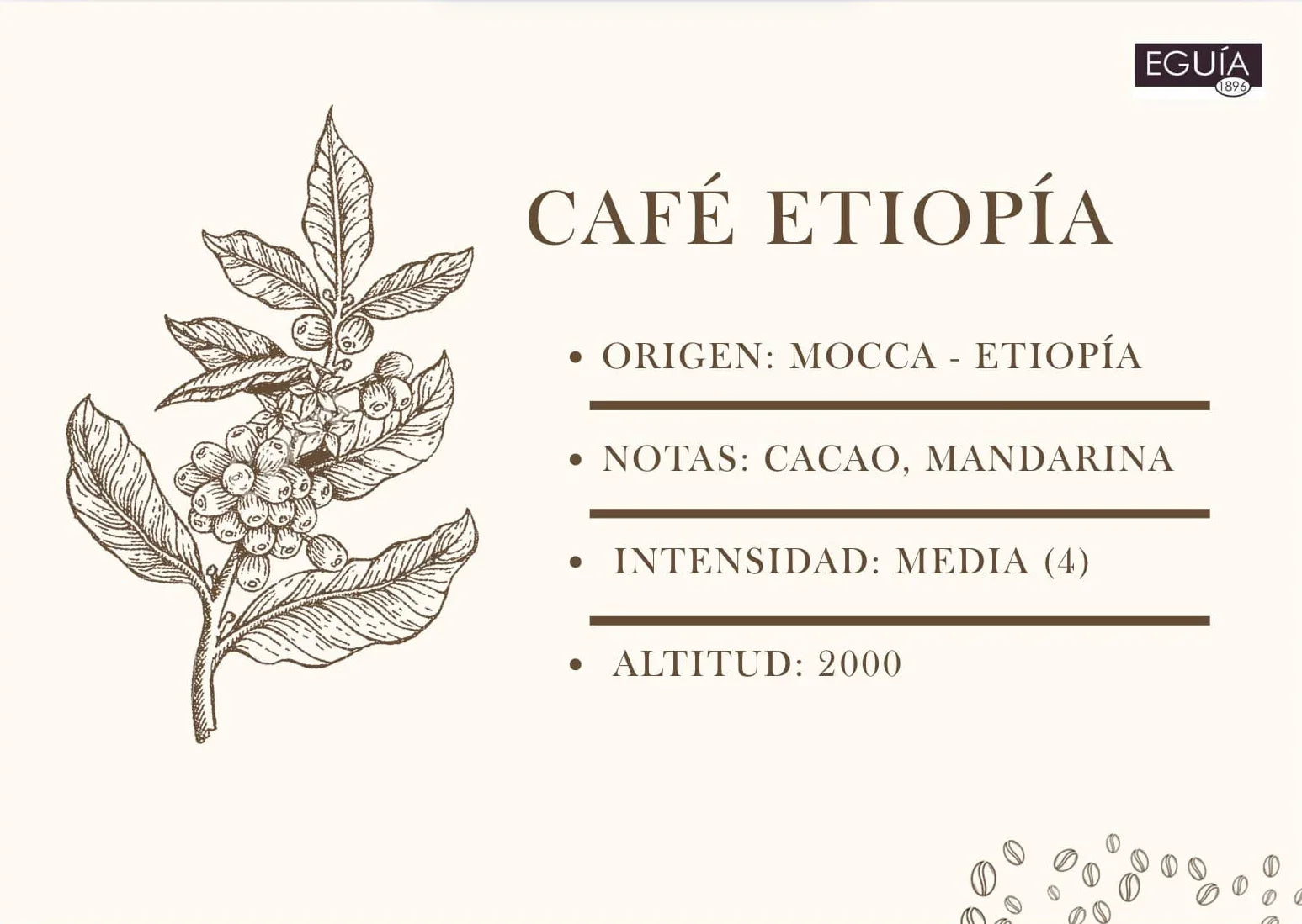 Café Mocca Etiopia - Casa Eguia