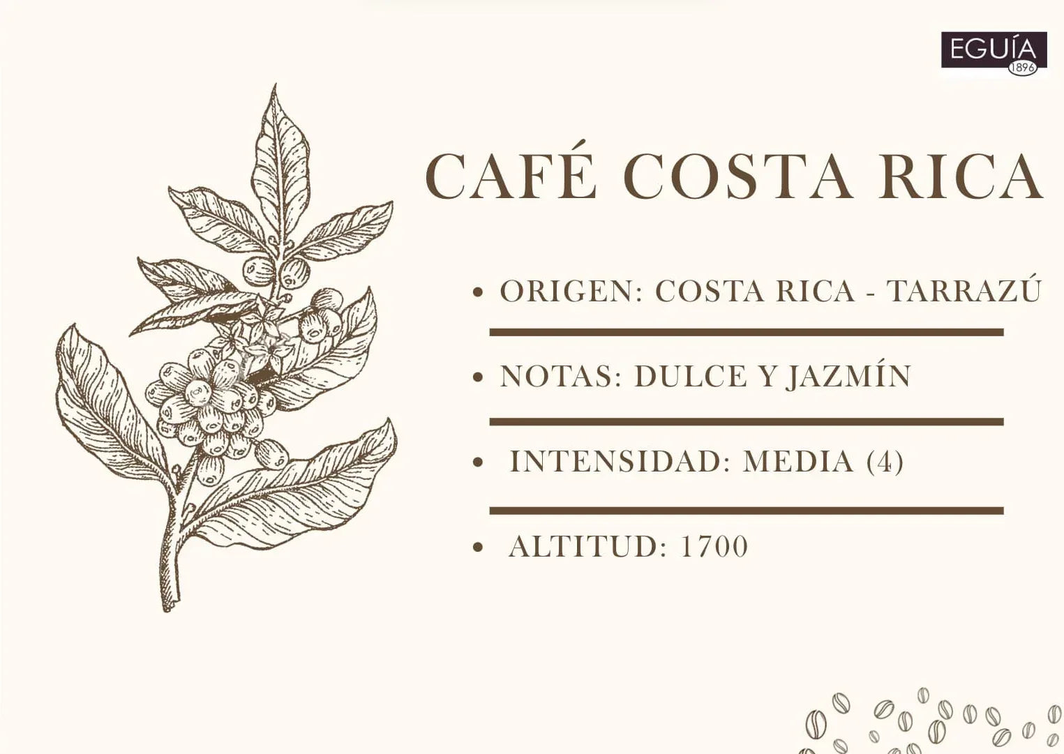 Café Tarrazú Mujeres - Casa Eguia