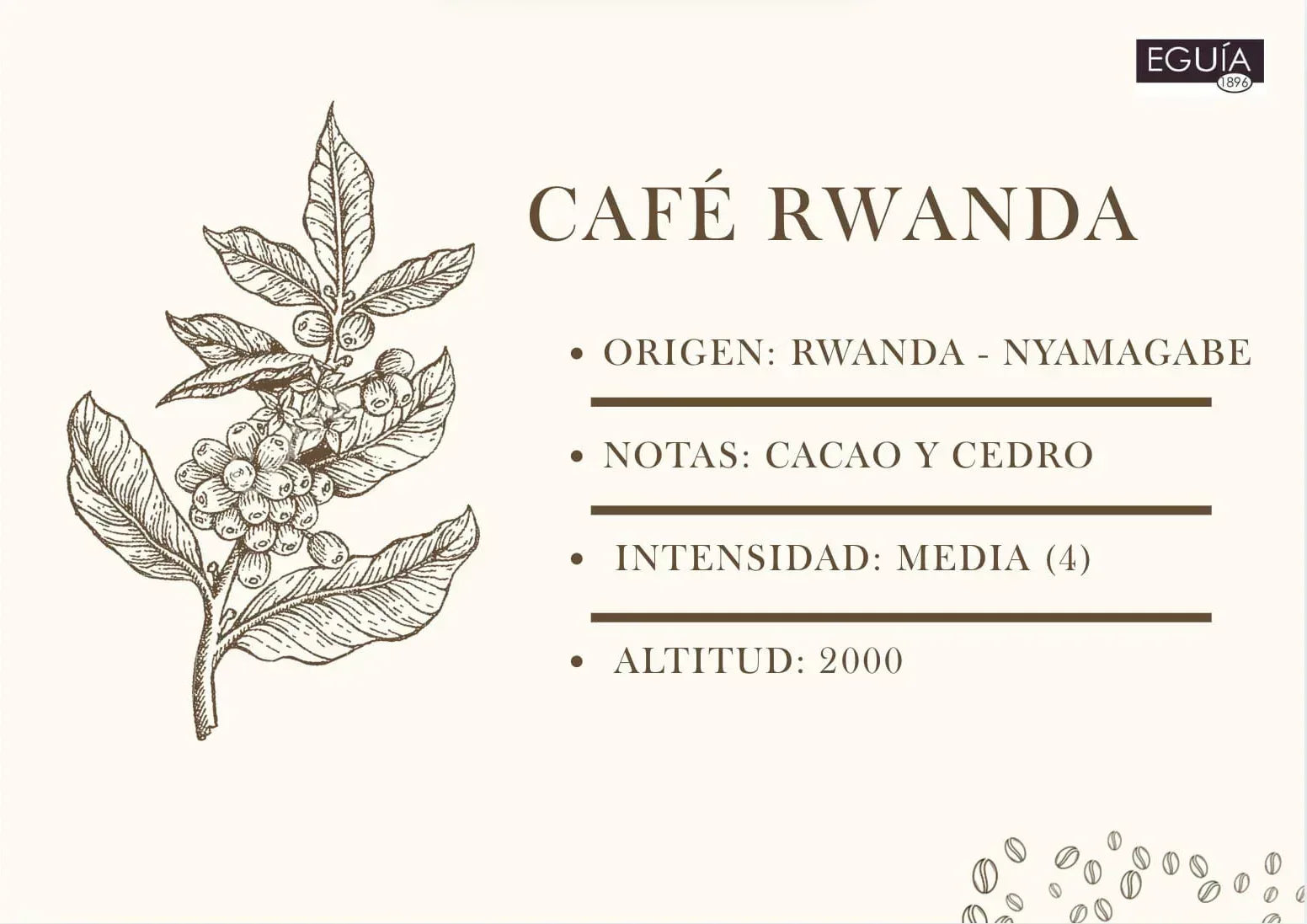 Café Rwanda (Ingiagi) - Casa Eguia