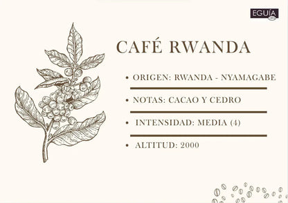 Café Rwanda (Ingiagi) - Casa Eguia