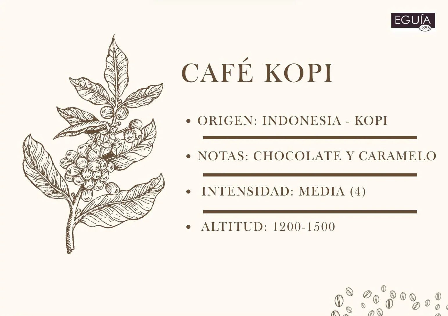 Café Indonesia Kopi Luwak - Casa Eguia
