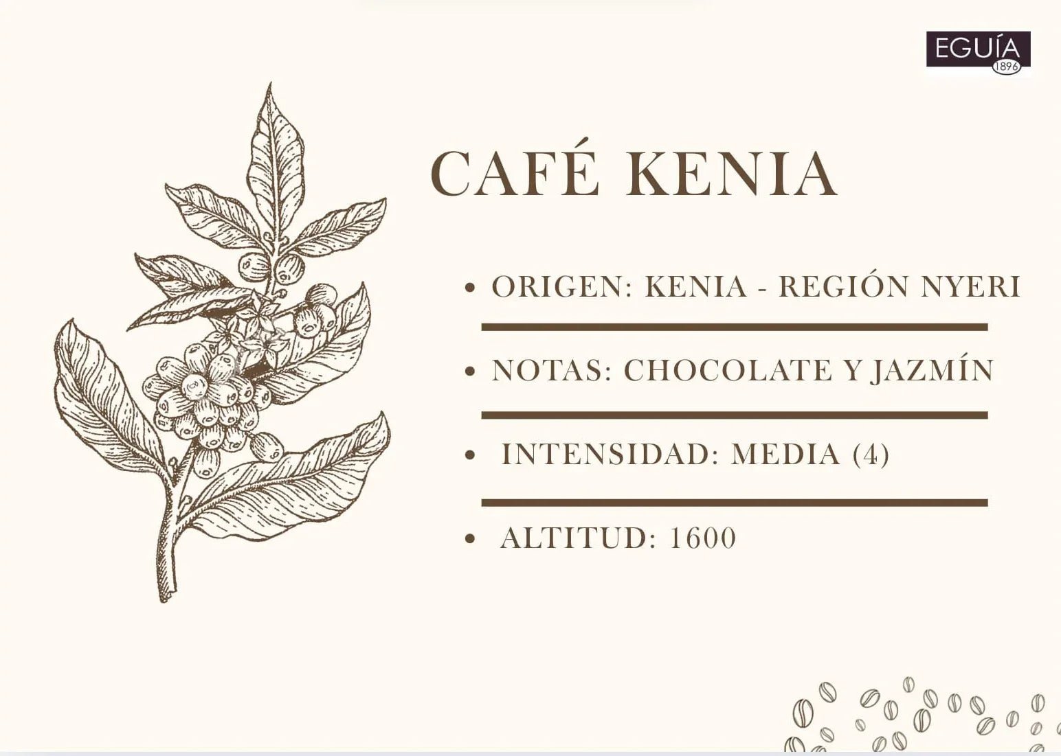 Café Kenia AA Kirimuri - Casa Eguia