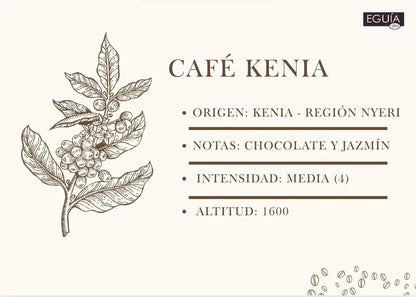 Café Kenia AA Kirimuri - Casa Eguia