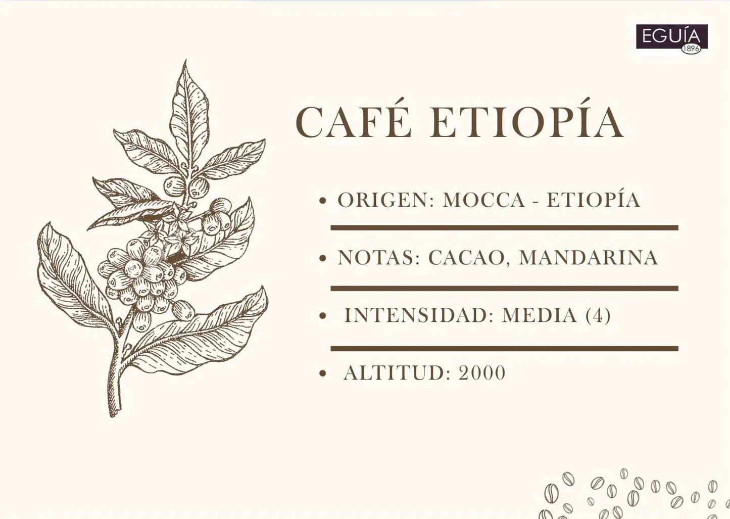 Café Mocca Etiopía - Casa Eguia
