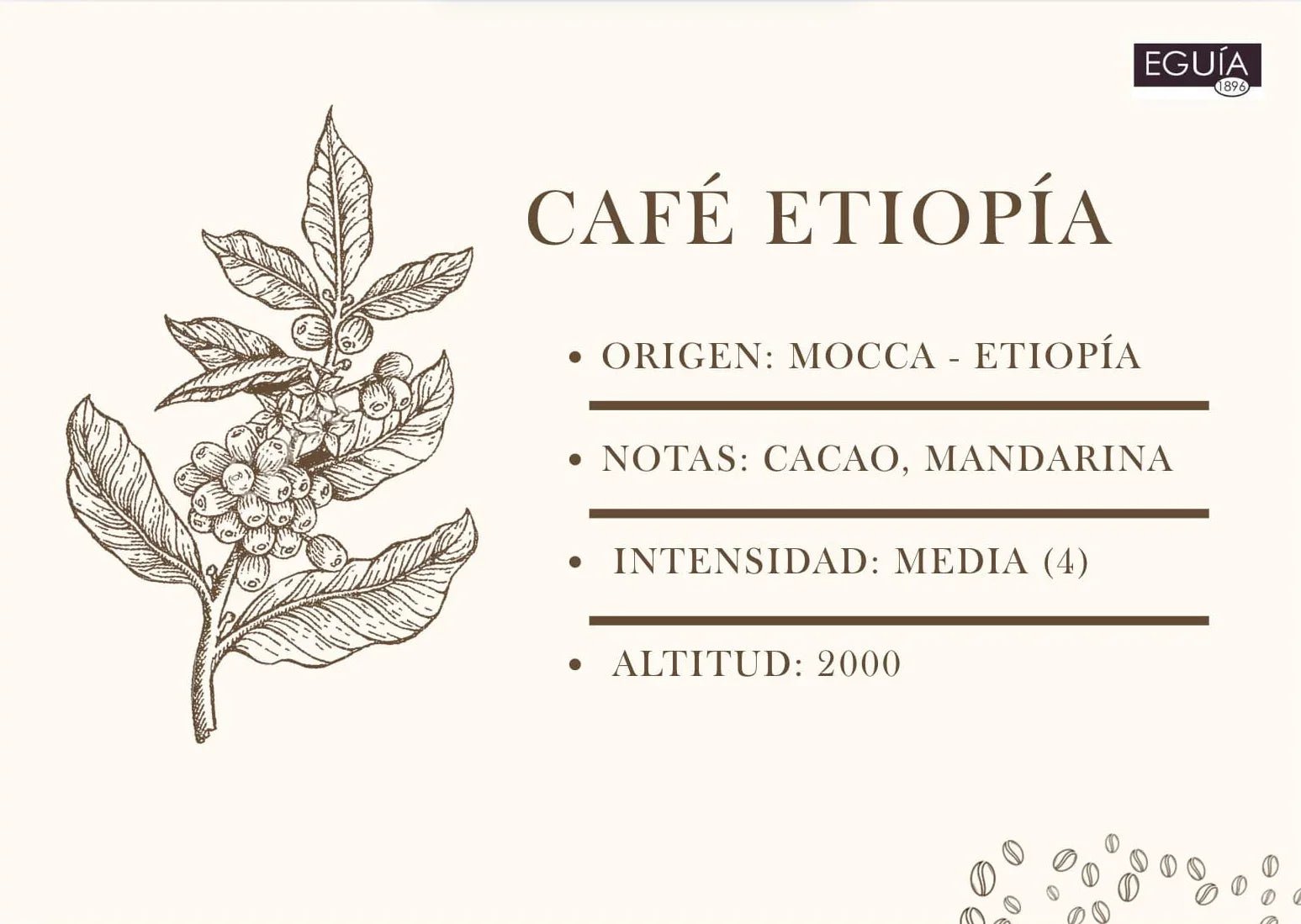 Café Mocca Etiopía - Casa Eguia