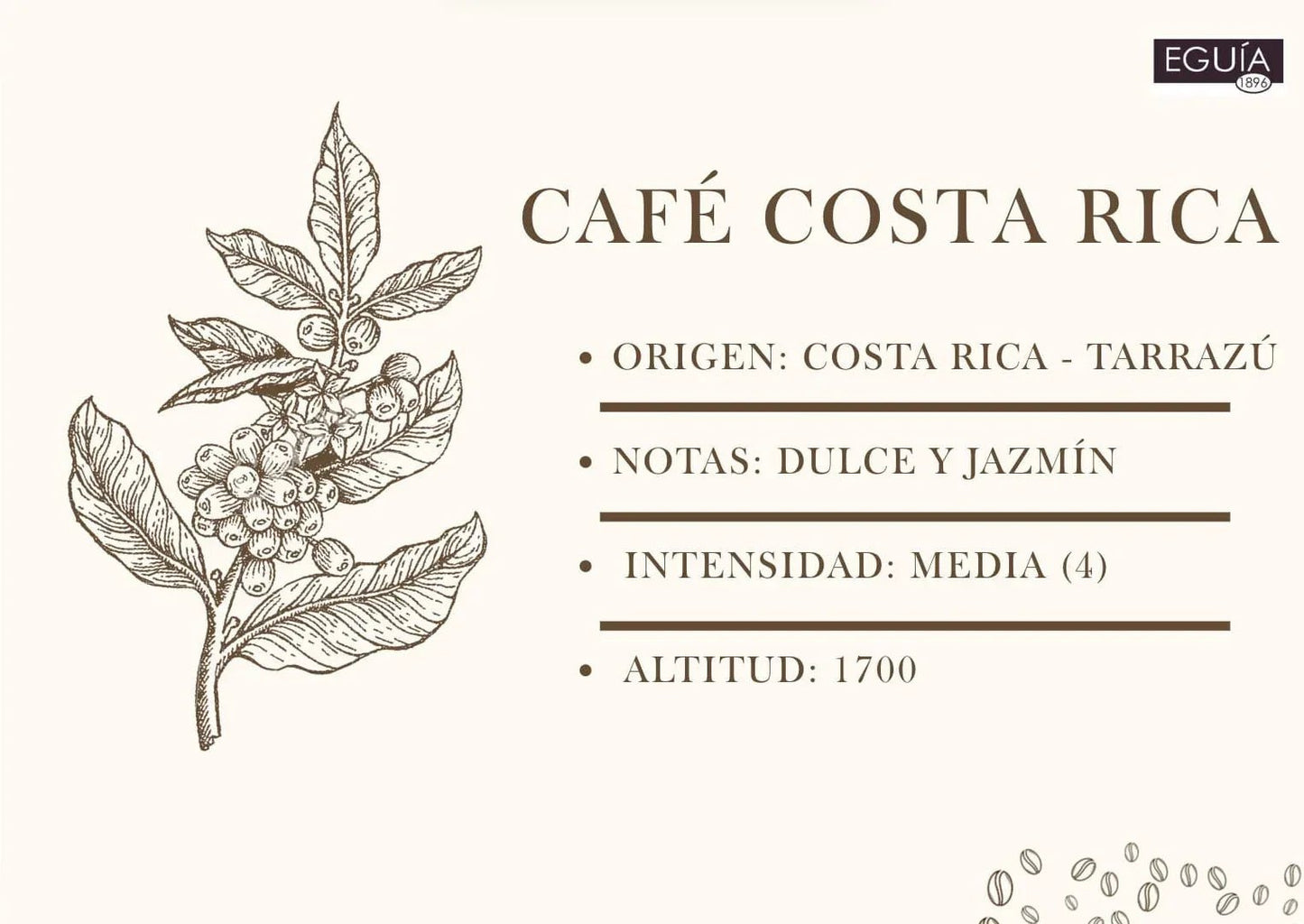 Café Tarrazú Mujeres - Casa Eguia