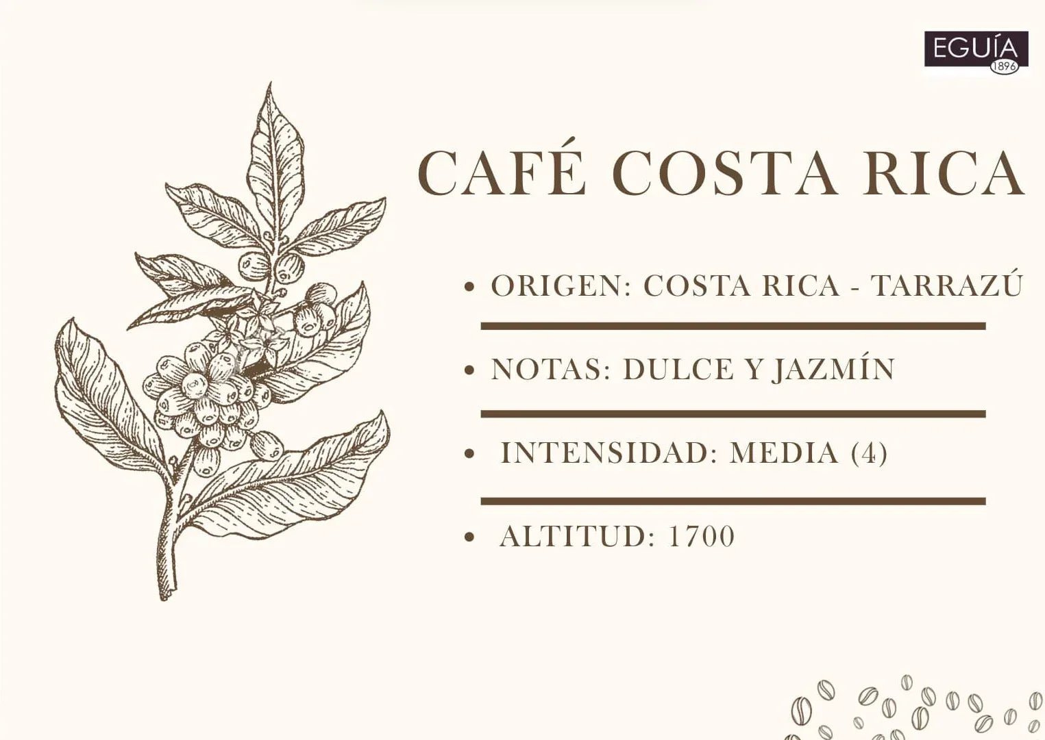 Café Tarrazú Mujeres - Casa Eguia