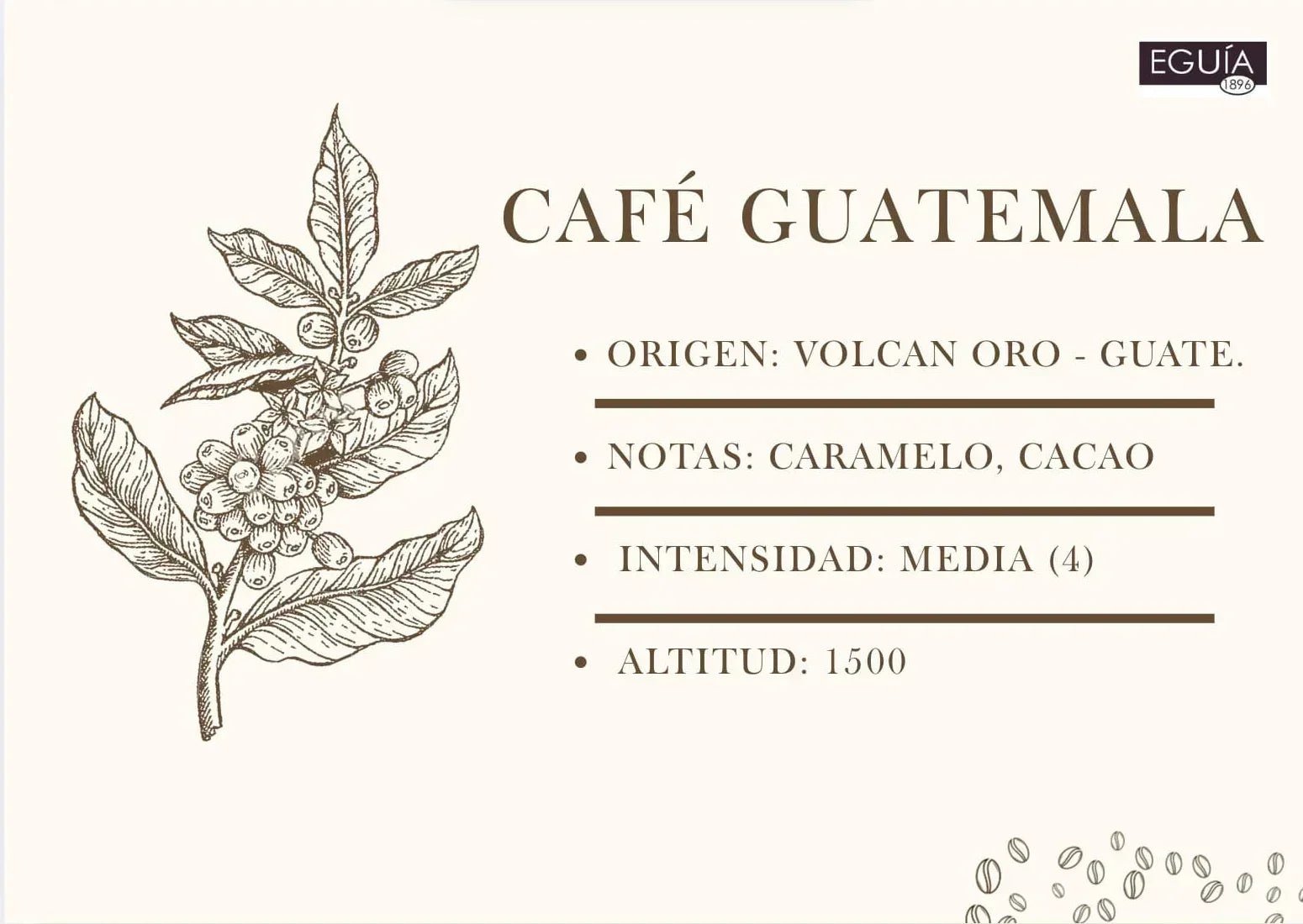 Café Volcán Oro Guatemala - Casa Eguia