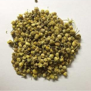 Chamomile Mahon